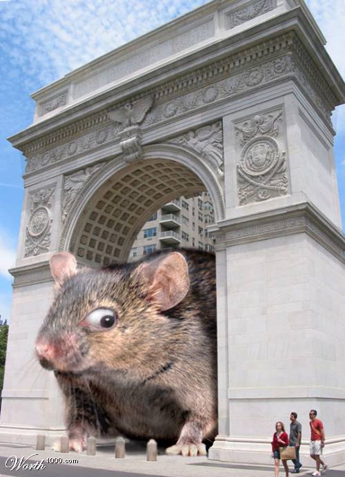 giant%20mouse.jpg